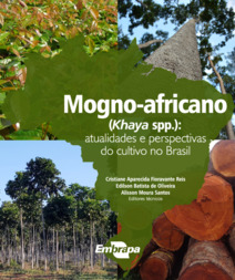 MOGNO AFRICANO