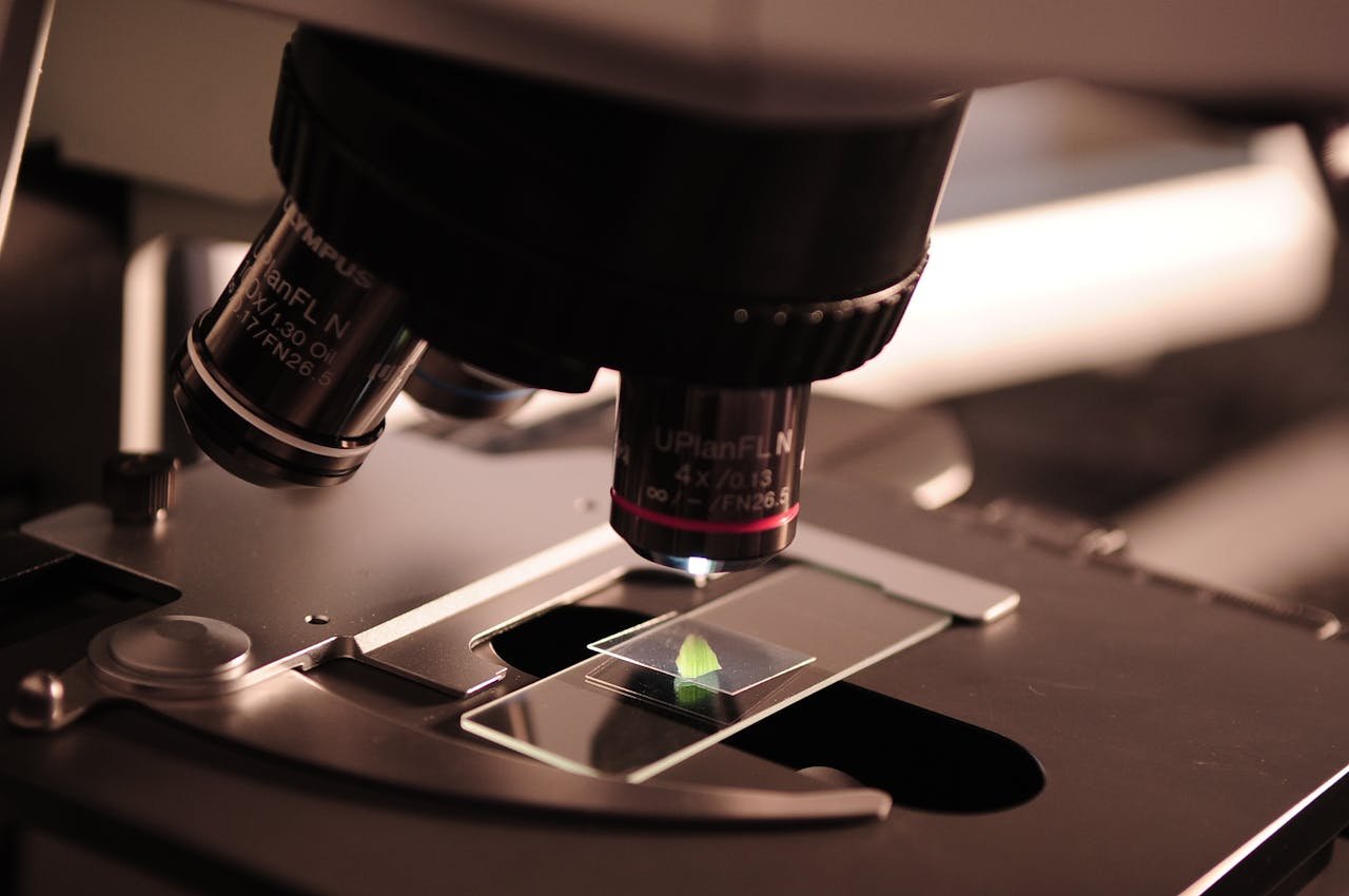 Scientists Develop New Vaccine to Combat Emerging Viruses